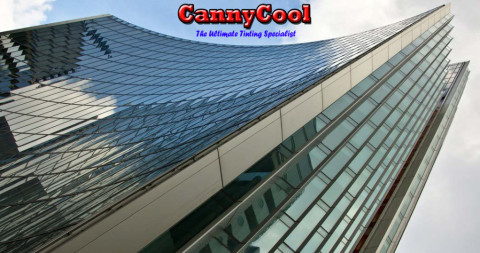 CannyCool Tinting Specialist FanPage截图5