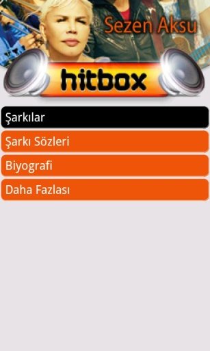 Sezen Aksu Hit Box截图3