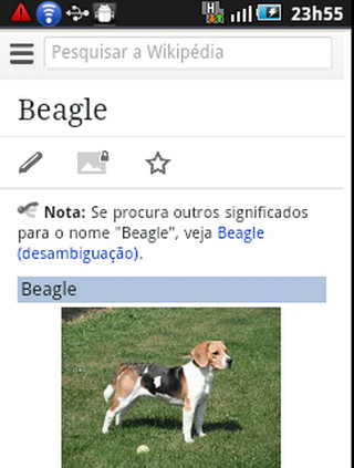 Cachorros Beagle截图5