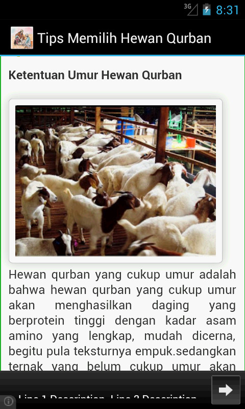 Tips Memilih Hewan Qurban截图3