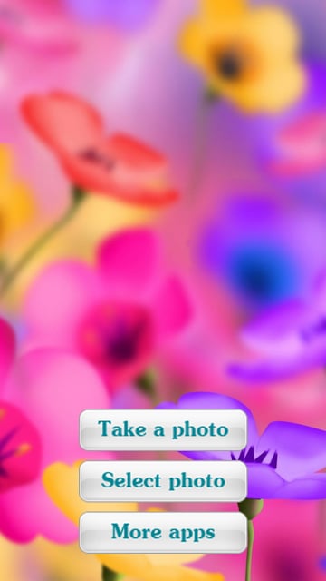 Flowers Photo Frames 2截图10