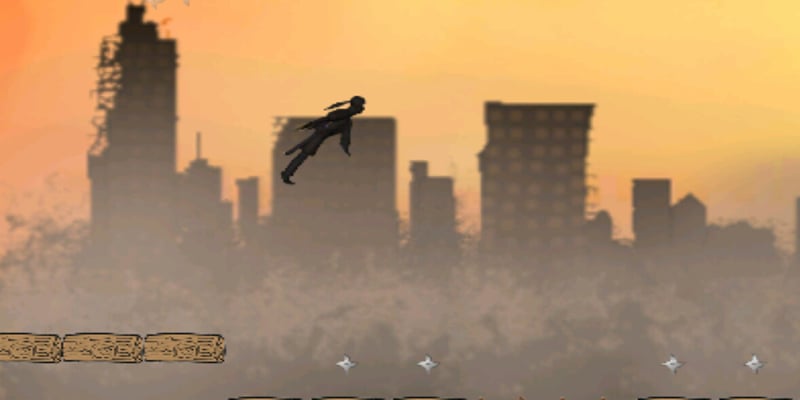 Shadow Fighter 2 Run截图6