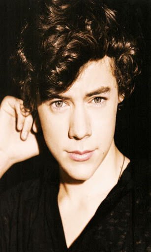 Harry Styles 2014 wallpaper截图7