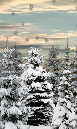 Winter Snow Trees 3D Trial LWP截图3