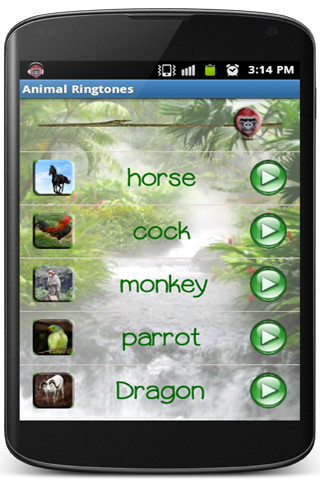 Animal Ringtones截图3