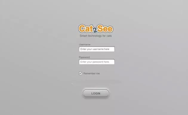 Cat2See截图6