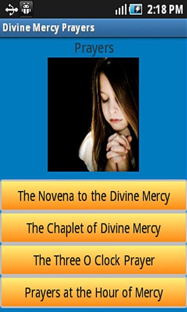 Divine Mercy Prayers截图10