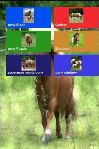 hay pony day截图3