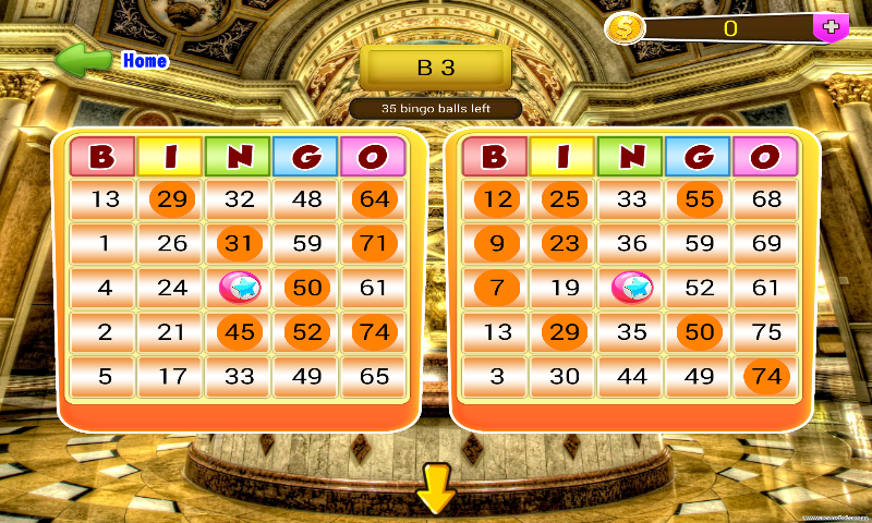 Star Bingo Game截图1