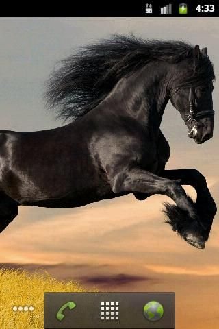 Horse HD Live Wallpaper截图2