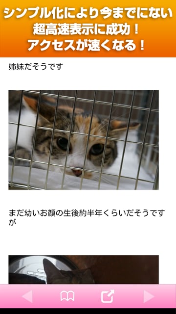 ペット（ねこ・いぬ・とり・うさぎ・小动物）〜ブロGOOD截图7