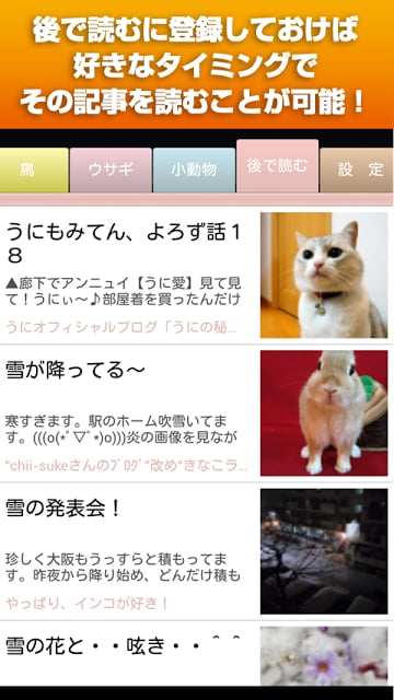 ペット（ねこ・いぬ・とり・うさぎ・小动物）〜ブロGOOD截图3