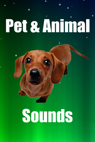 Pets and Animal Sounds截图1