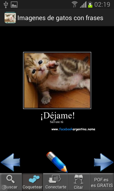 Imagenes de gatos con frases截图2