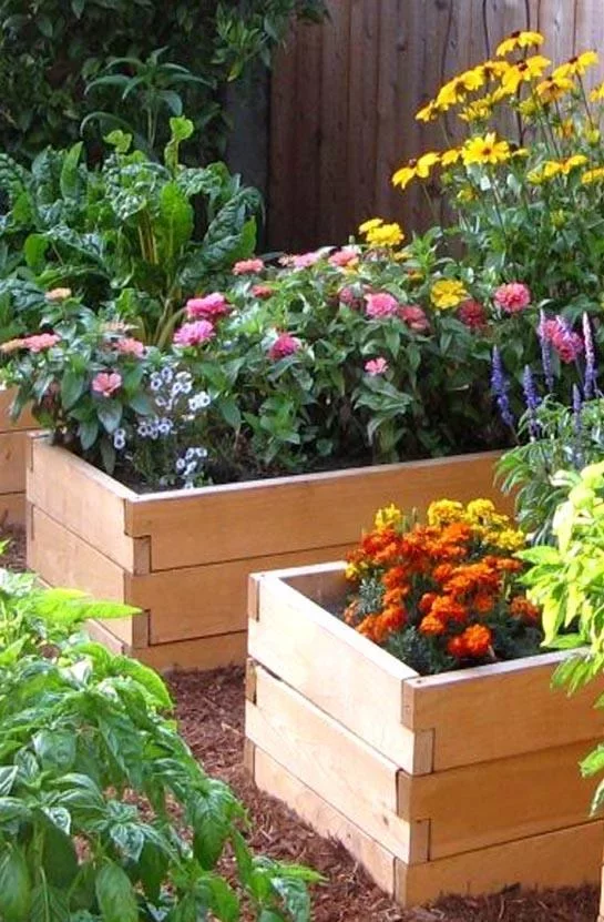 DIY Gardening Tips截图10