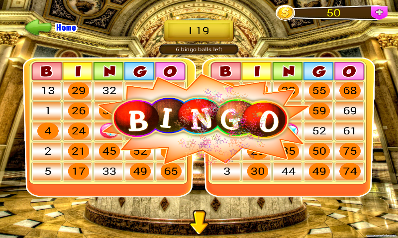 Star Bingo Game截图7