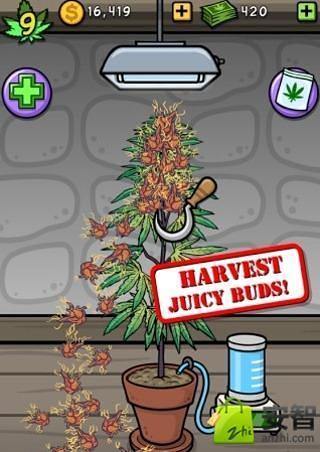 Pot Farm: Grass Roots截图2