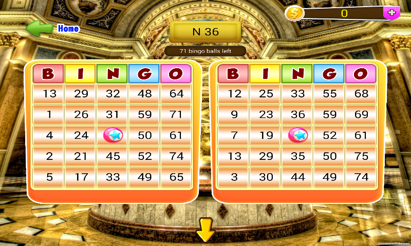 Star Bingo Game截图3