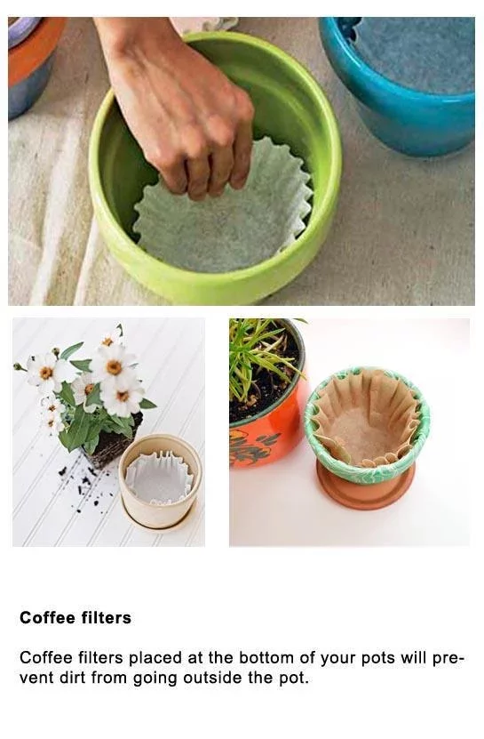 DIY Gardening Tips截图4