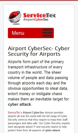 Airport Cyber Security截图1