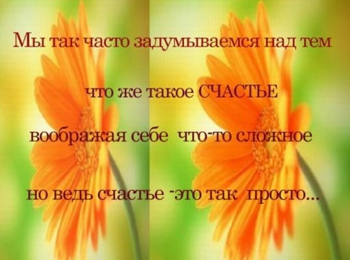 New statuses quotes aphorisms截图1