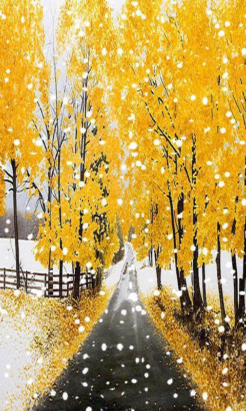 Fall Snowfall截图3