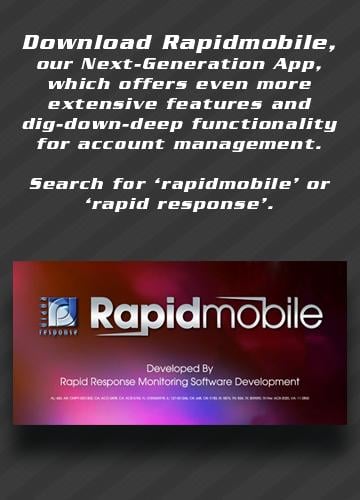 RapidWeb3k截图3