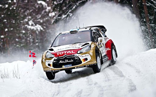 3D Snowy Racing Rally截图1