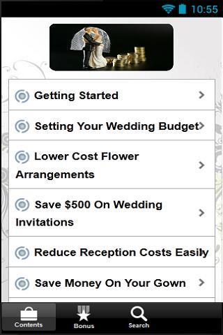 Wedding On A Budget截图2