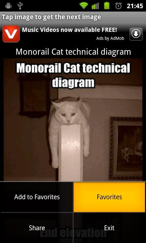 LOL cats!截图4