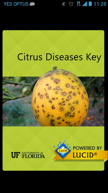 Citrus Diseases Key截图5