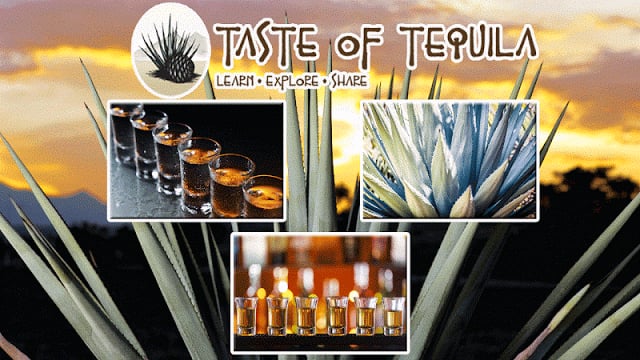 Taste of Tequila截图3