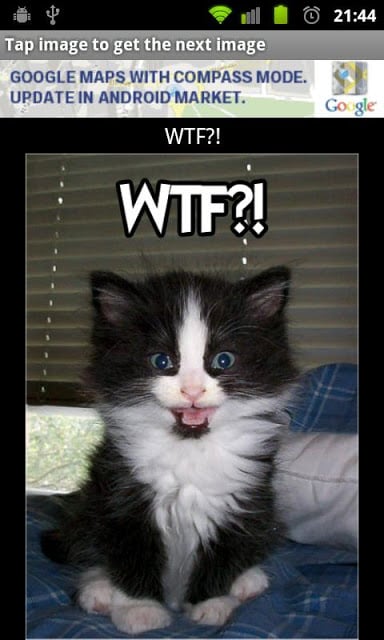 LOL cats!截图1