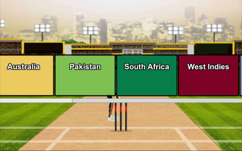 Domestic Cricket Tournament截图2