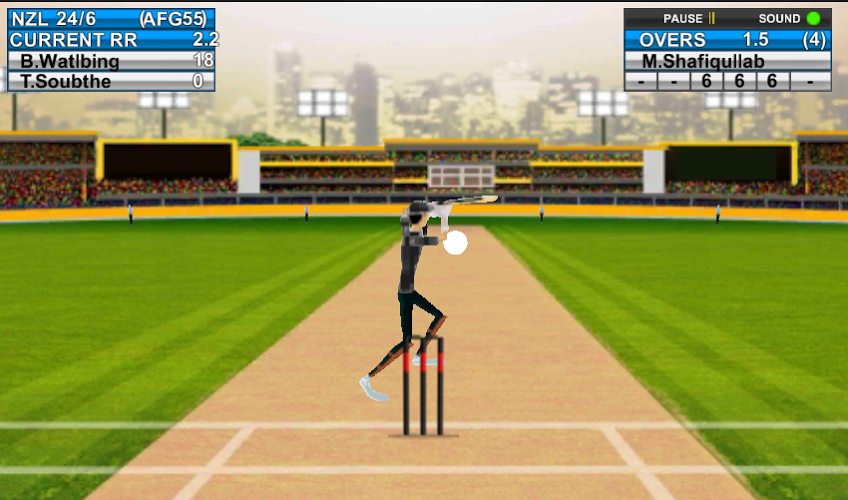 Domestic Cricket Tournament截图4