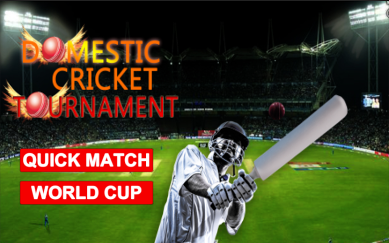 Domestic Cricket Tournament截图1