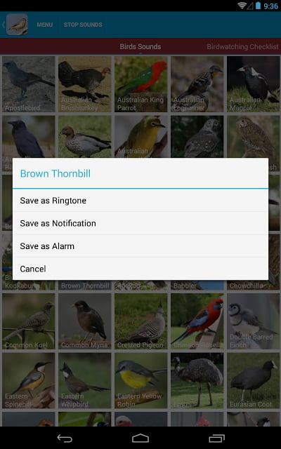 Australian Birds Sounds Free截图6