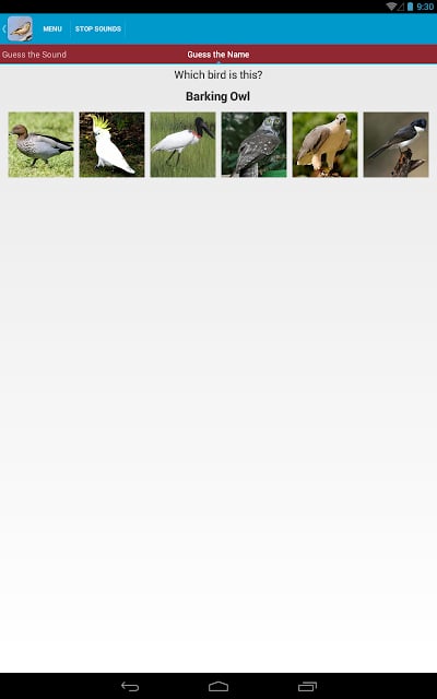 Australian Birds Sounds Free截图11