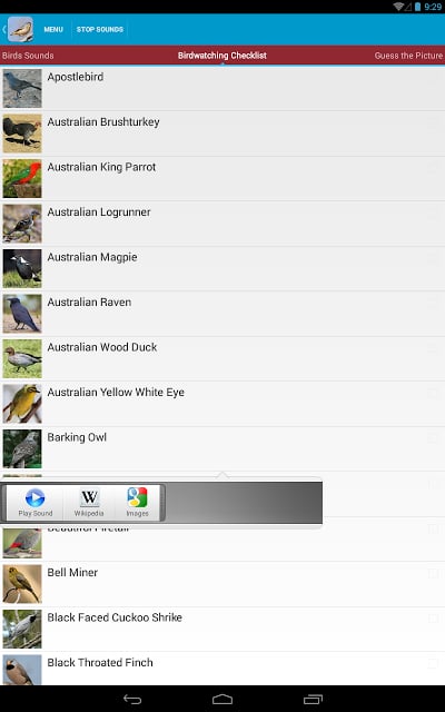 Australian Birds Sounds Free截图8