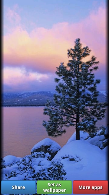 Winter Wonderland HD Wallpaper截图7