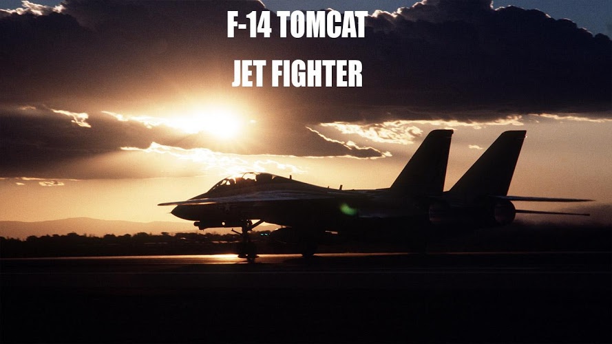 F14 Tomcat Jet Simulator截图1