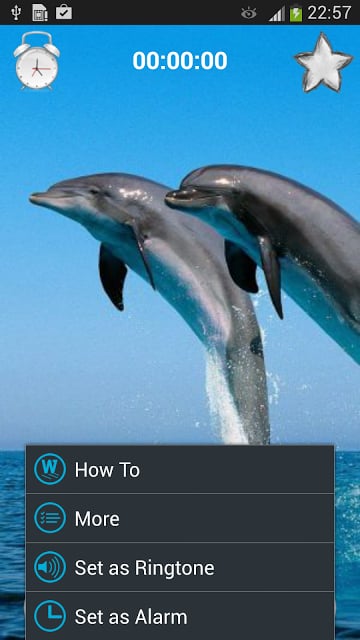 Dolphin Sounds Sleep &amp; Relax截图5