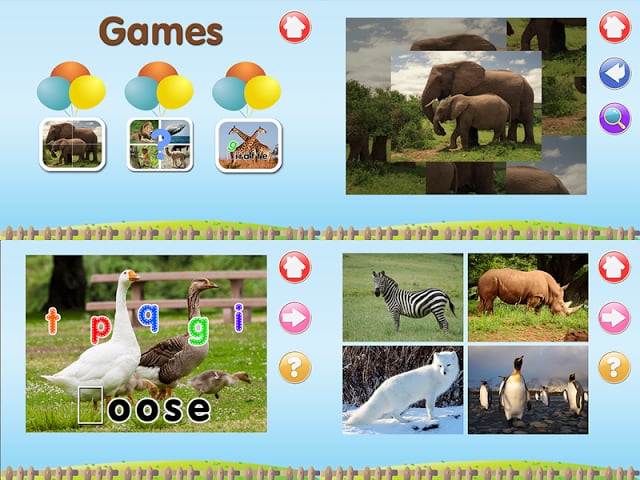 ABC Animal Flashcard Write截图11