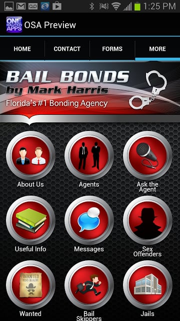 Bail Bonds by Mark Harris截图3