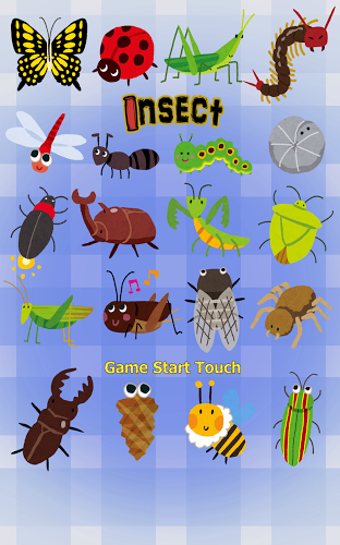 Insect Concentration (game)截图1