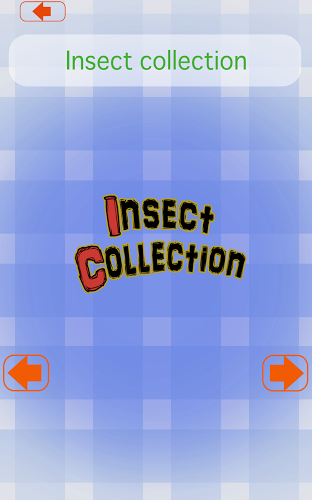 Insect Concentration (game)截图5