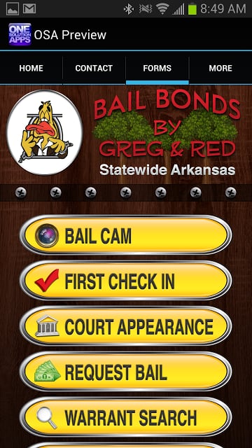 Arkansas Bail截图1