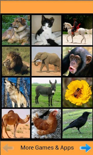 Zoo Sound Board截图1