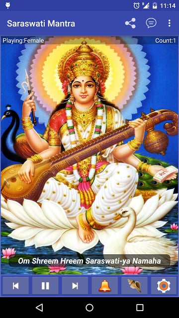 Maa Saraswati Mantra截图4