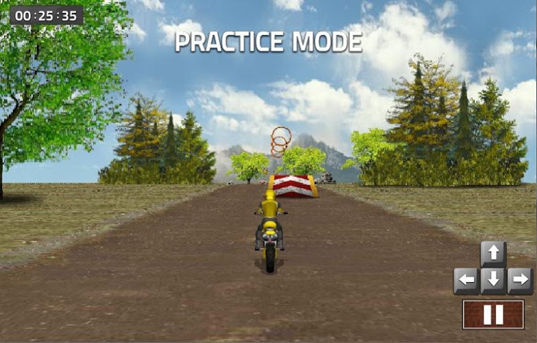 Dirt Bike Racing截图5